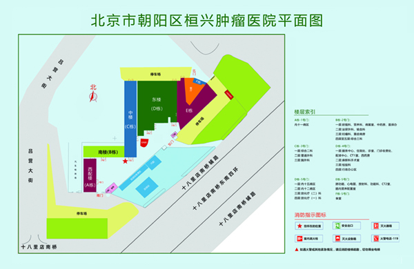 大鸡吧插肉洞北京市朝阳区桓兴肿瘤医院平面图